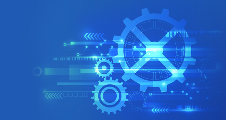 专业领域 特色鲜明